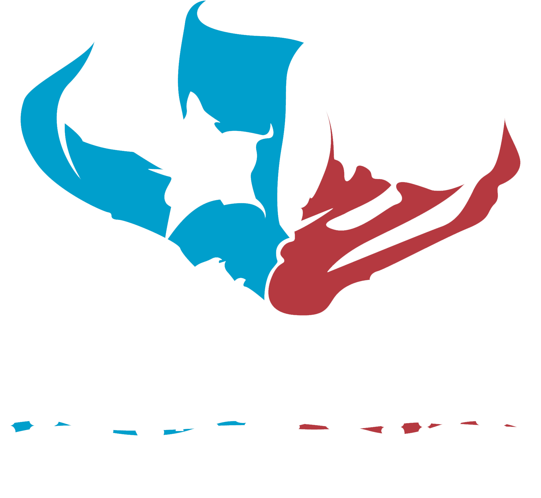 Texas Skull Firearms