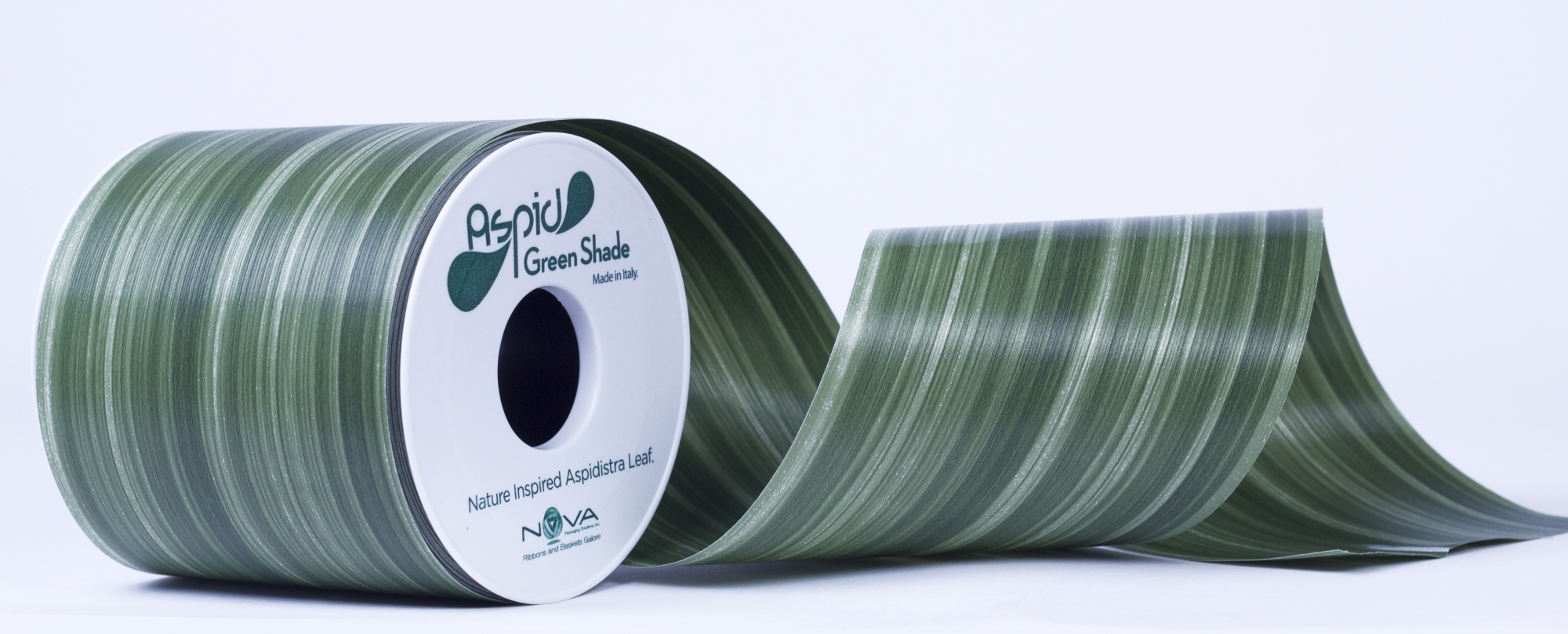 Aspid Green Shade