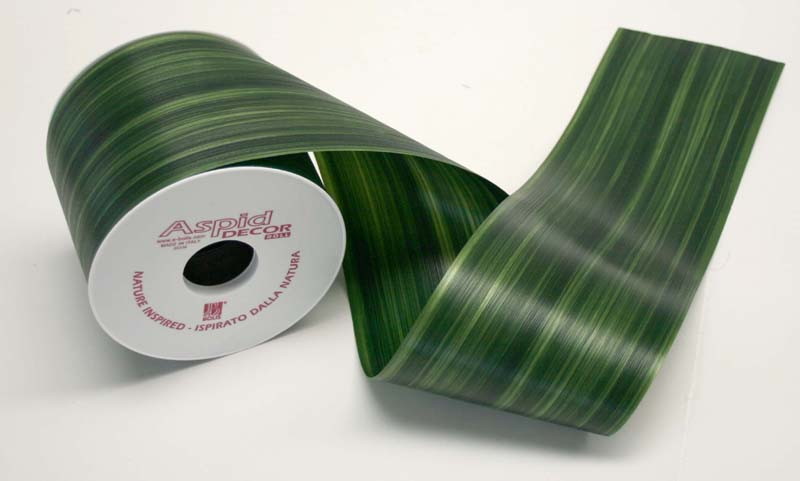 Aspid Gold Feather