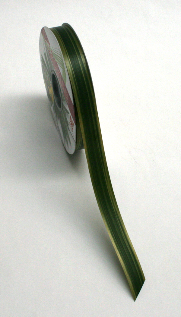 Aspid Aliator