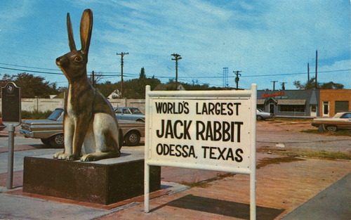 Image description