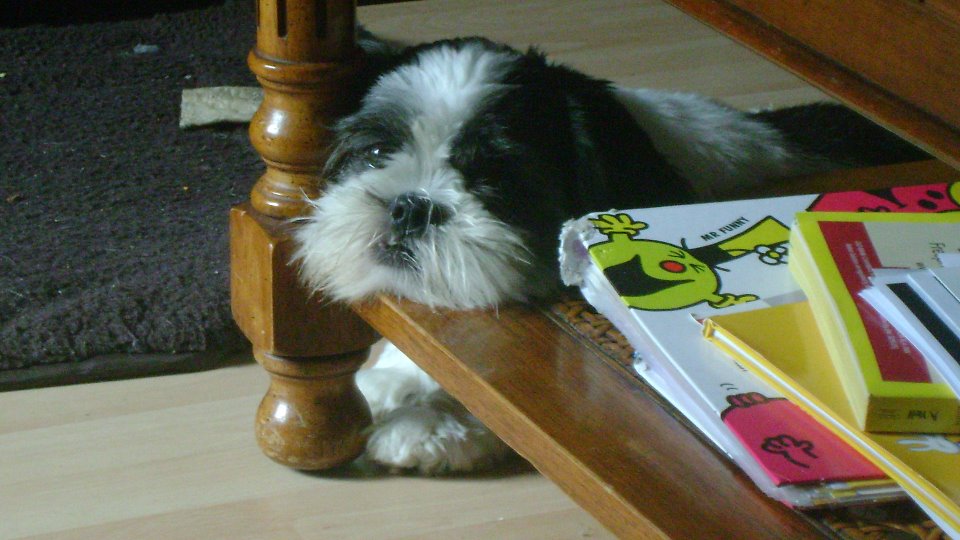 Image description