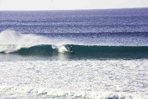 surf yoga retreats