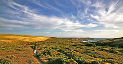 Algarve Nature Walk