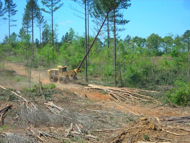 Image description
