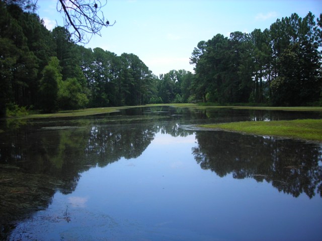 Image description