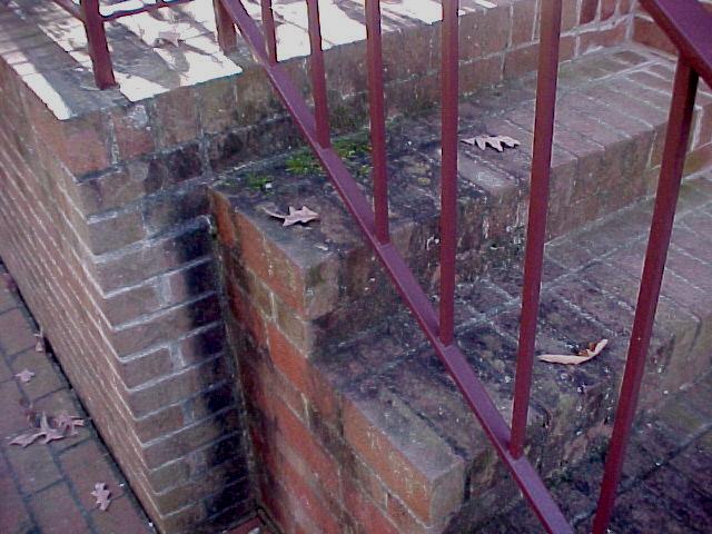 Image description