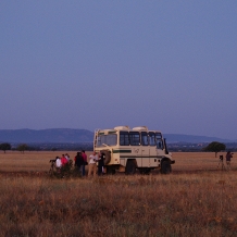 Safari en Cabañeros
