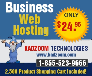 Business Web Hosting