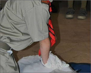 Cub's doing CPR