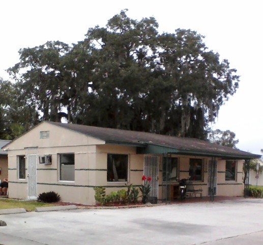 Image description