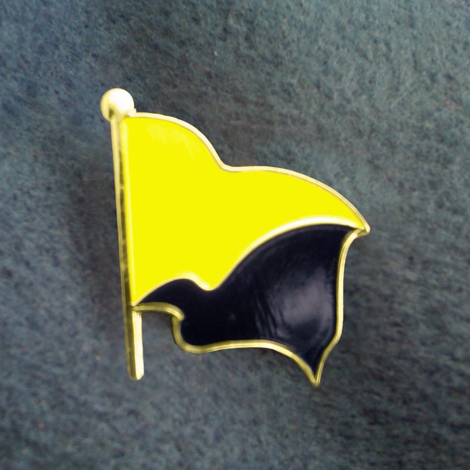 Voluntaryist Flag Pin