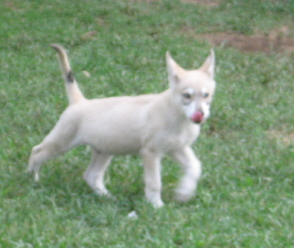 Image description