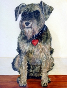 Schnauzer Portrait