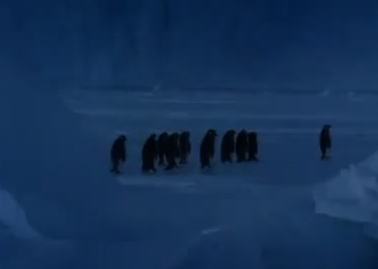 പെന്‍ഗ്വിന്‍ ഐസില്‍ തെന്നിവീഴുന്നു   