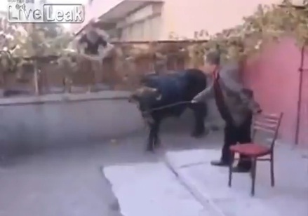 കാളയെ വിറളിപിടിപ്പിച്ചാല്‍ -