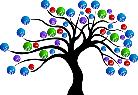 IP Design