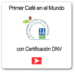 Sello DNV