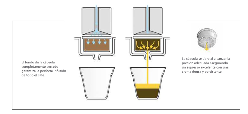 Infograma de la cápsula illy