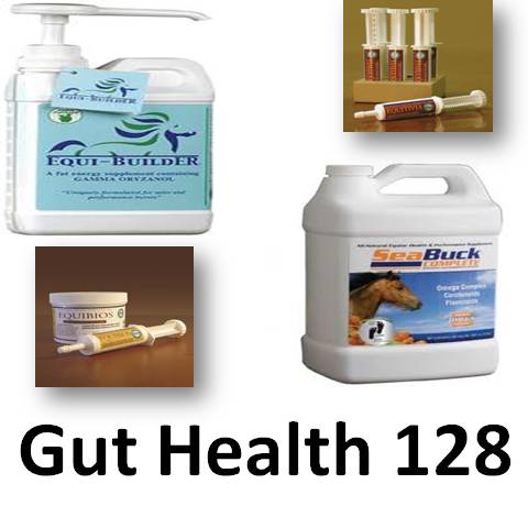 GutHealth128
