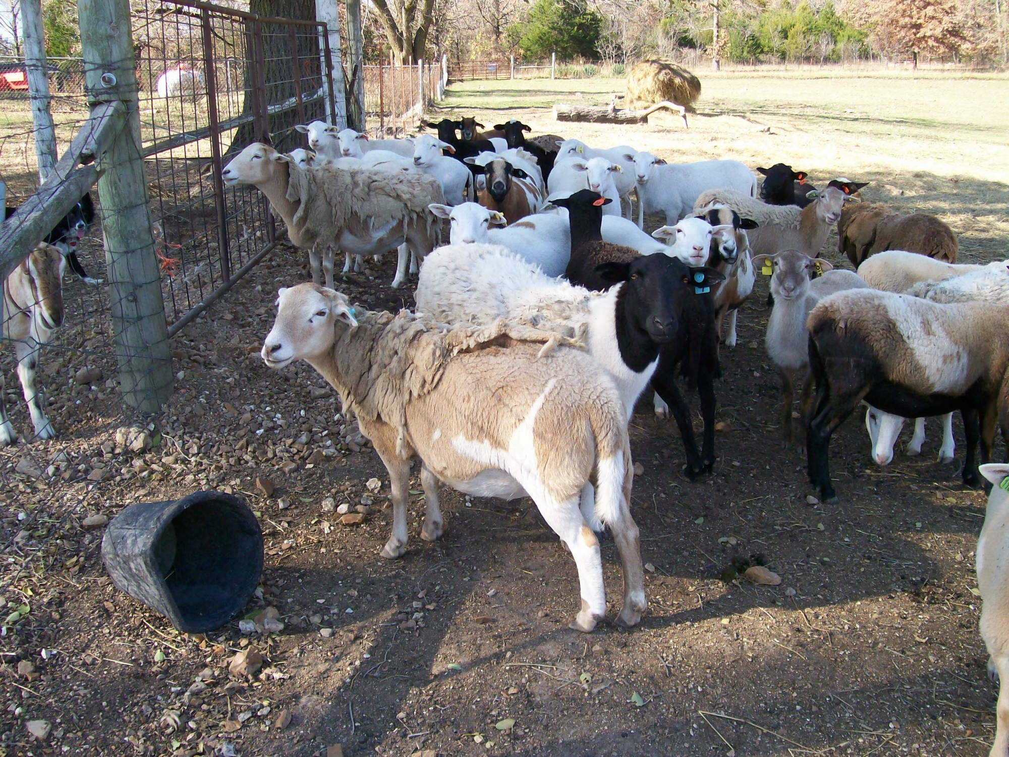 Image description