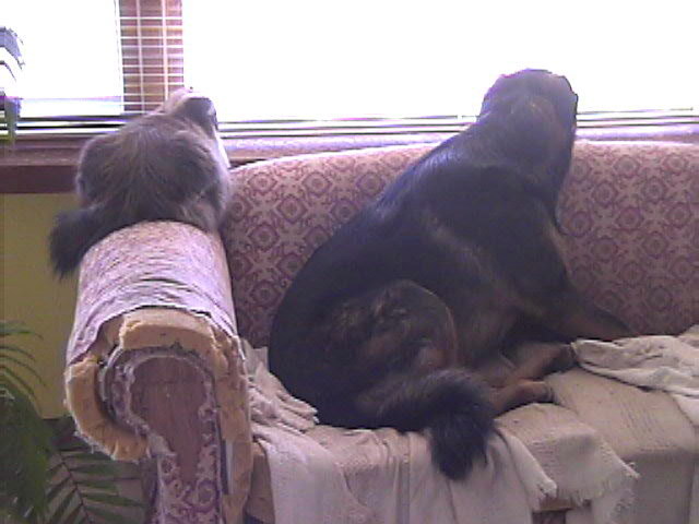 Image description