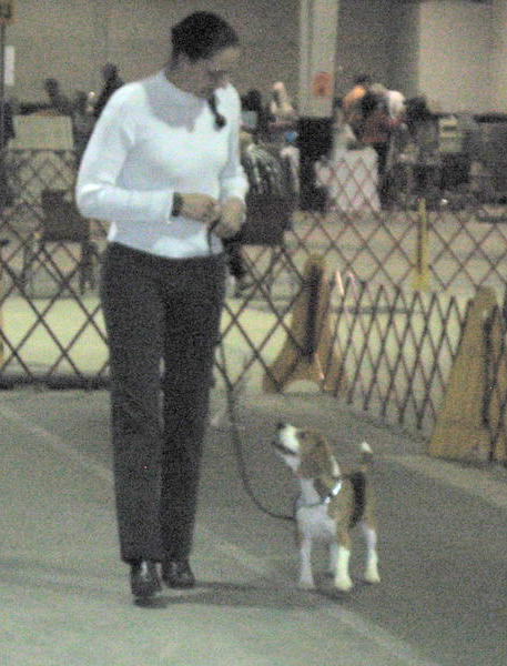 Image description