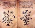 old tea herb book