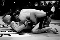 UK MMA Photography by Mark Corpe Fighters in Focus Mixed Martial Arts Fight Photos and Portraits Dan Shortman