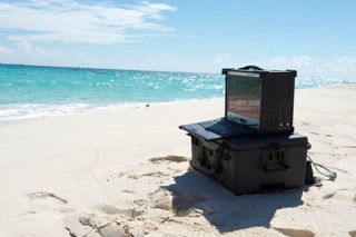 Wrangler on the beach