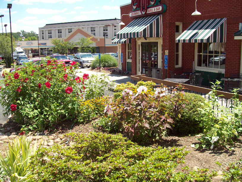 Landscaping done at Chili's Bar & Grill in Charlottesville Virginia