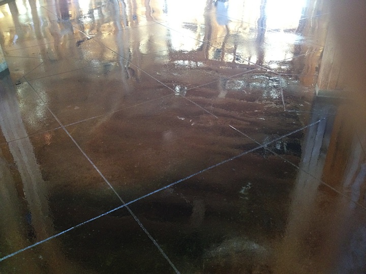 Interior Stained Concrete