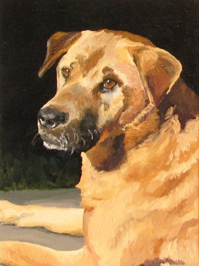 pet portrait