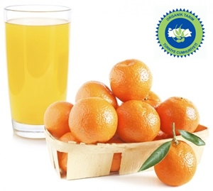 organik mandalina suyu konsantresi