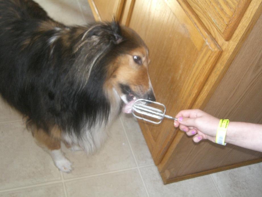 Jake, the official taste-tester