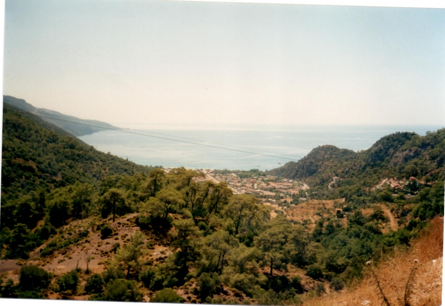 Image description