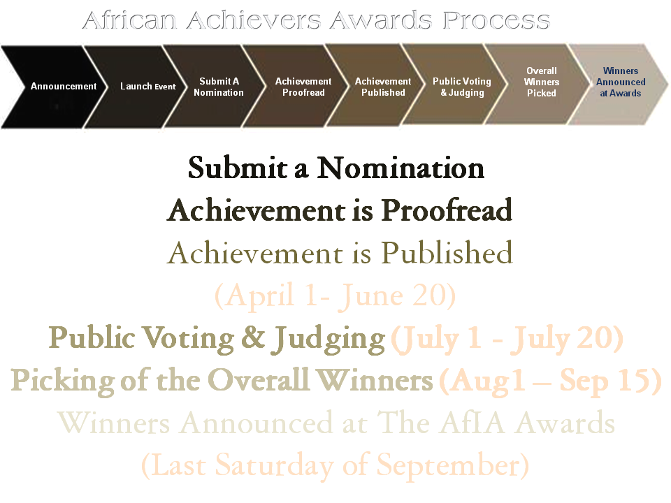 African Philanthropy Awards Process