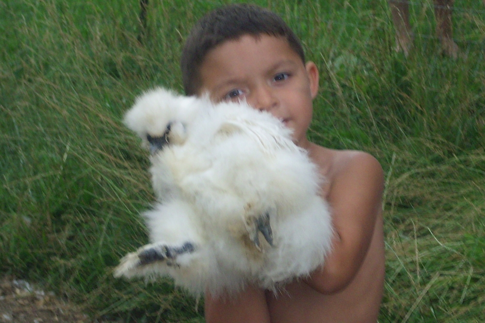 Image description