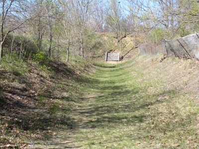 Image description