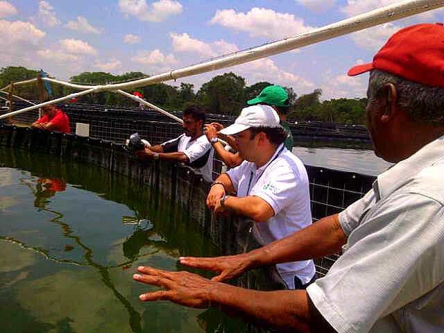 Image description