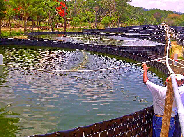 Image description